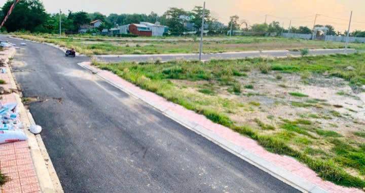 thuviennhadat.vn